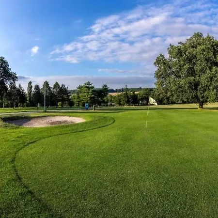 T3 Golf Albret